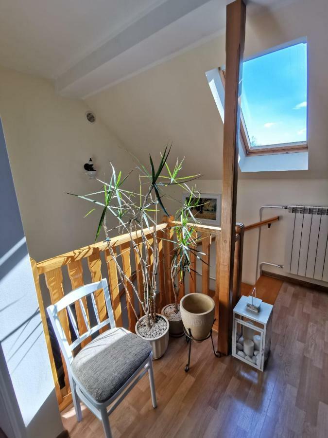 Kwiatowe Zacisze Villa Przeciszow Exterior foto